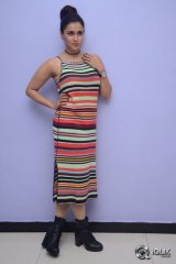 Mannara Chopra At Jakkanna Movie Platinum Disc Function